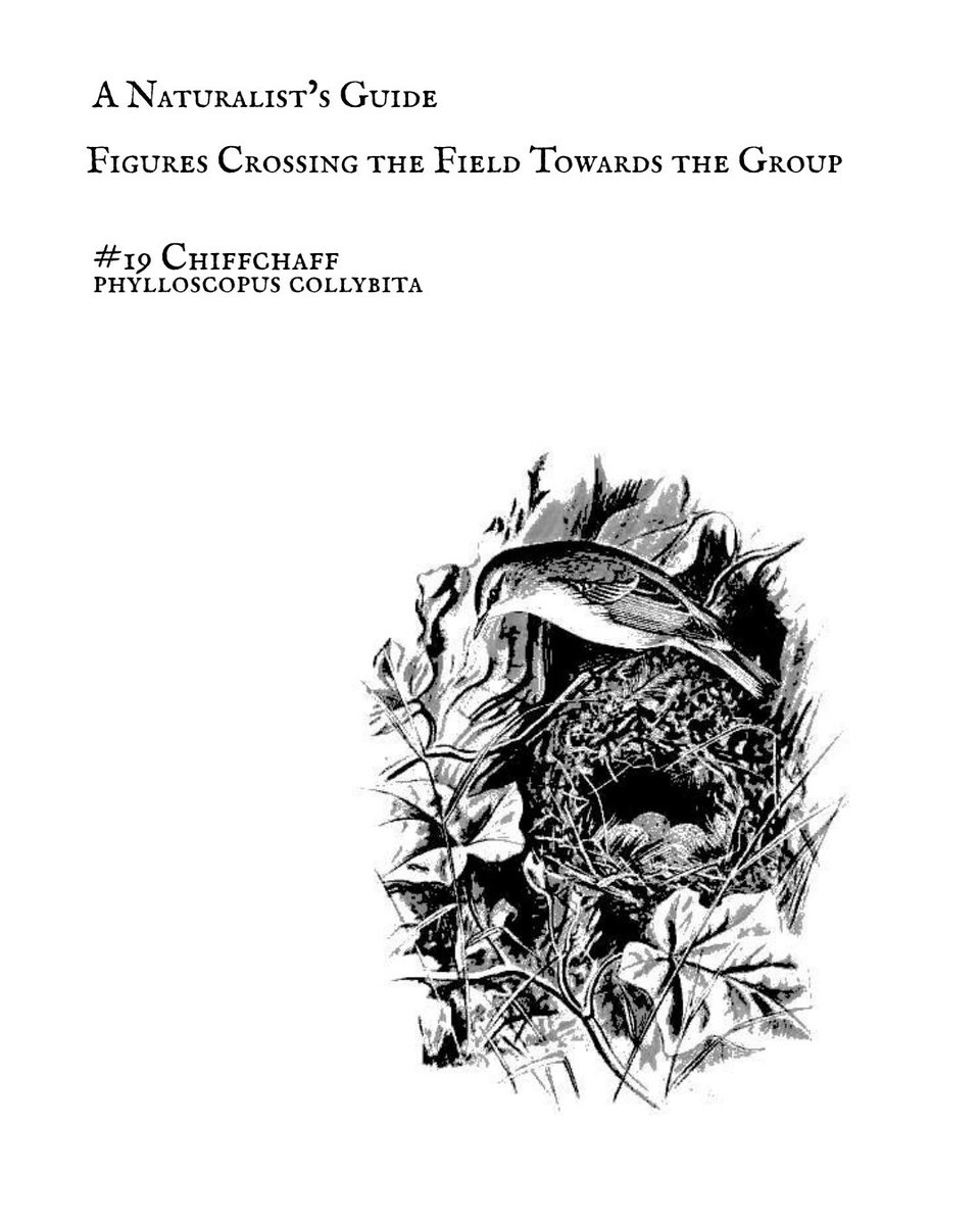 rlgransden's tweet image. A Naturalist’s Guide. Virtual collector card series featuring selected fauna and flora from Figures Crossing the Field Towards the Group. Next up we penultimately arrive at:

#19 Chiffchaff