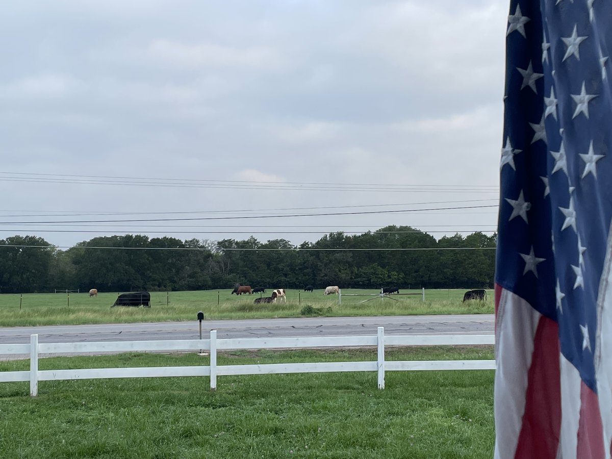 Good Morning🌥️☕️Patriots!🇺🇸....from overcast Texas!