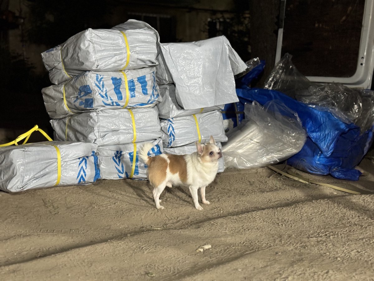 UNHCRUkraine's tweet image. Last night, Russia struck multiple regions of 🇺🇦— Vinnytsia, Dnipropetrovsk, Kharkiv, Odesa, Zaporizhzhia & Kryvyi Rih.
UNHCR partners have been working all day to support those affected by the attacks, providing crisis counselling, social support & emergency repair materials.