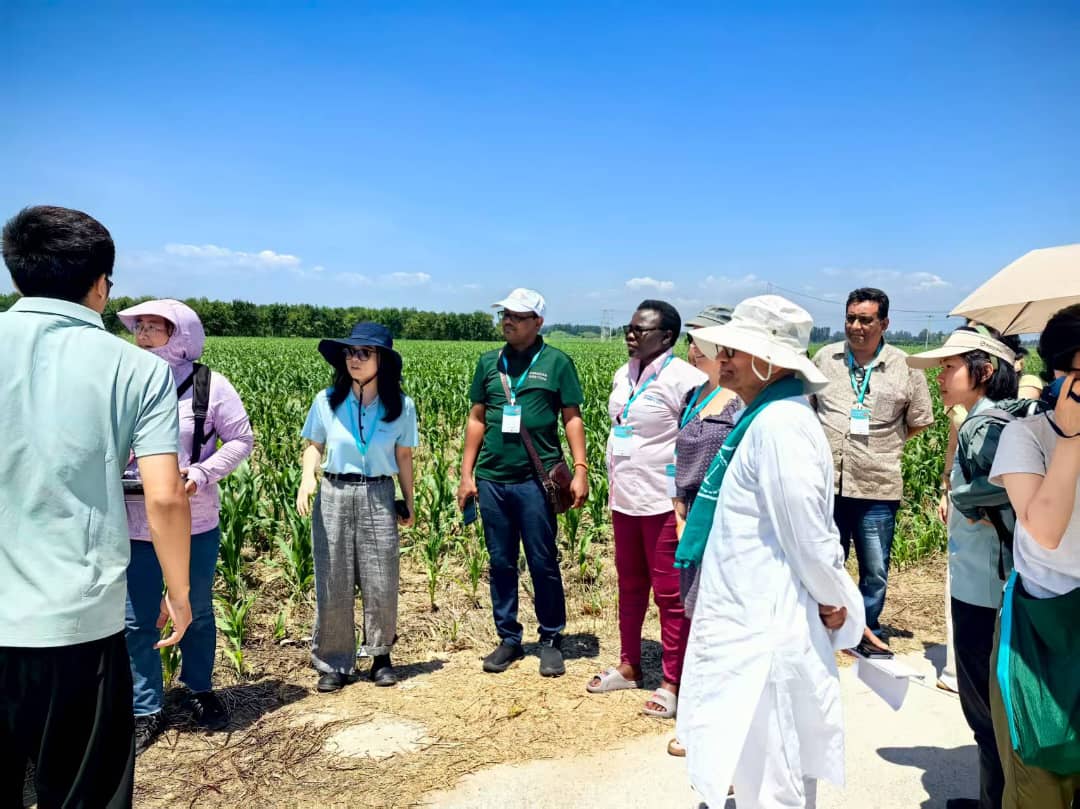 LVCSEAf's tweet image. @LVCSEAf was represented at the International Field Study on Agricultural and Rural Modernization in China. This exchange organized by the China Agricultural University brought together movements to learn, share & reflect on pathways to food sovereignty & agroecology transitions.