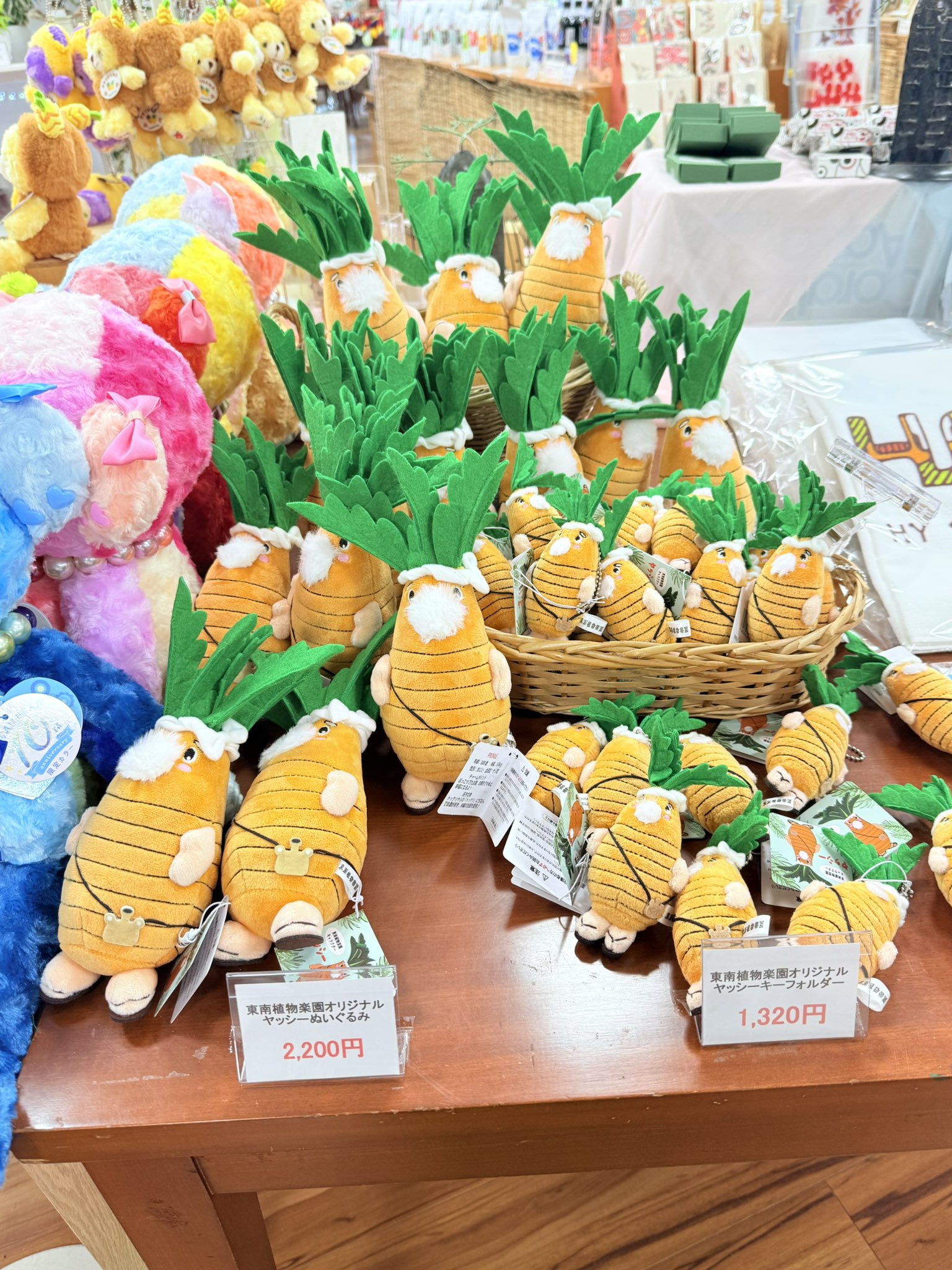 ぬいぐるみ　カピバラ　大サイズ　美らヤシパークオキナワ　東南植物楽園 ぬいぐるみ カピバラ 大サイズ 美らヤシパークオキナワ 東南植物楽園