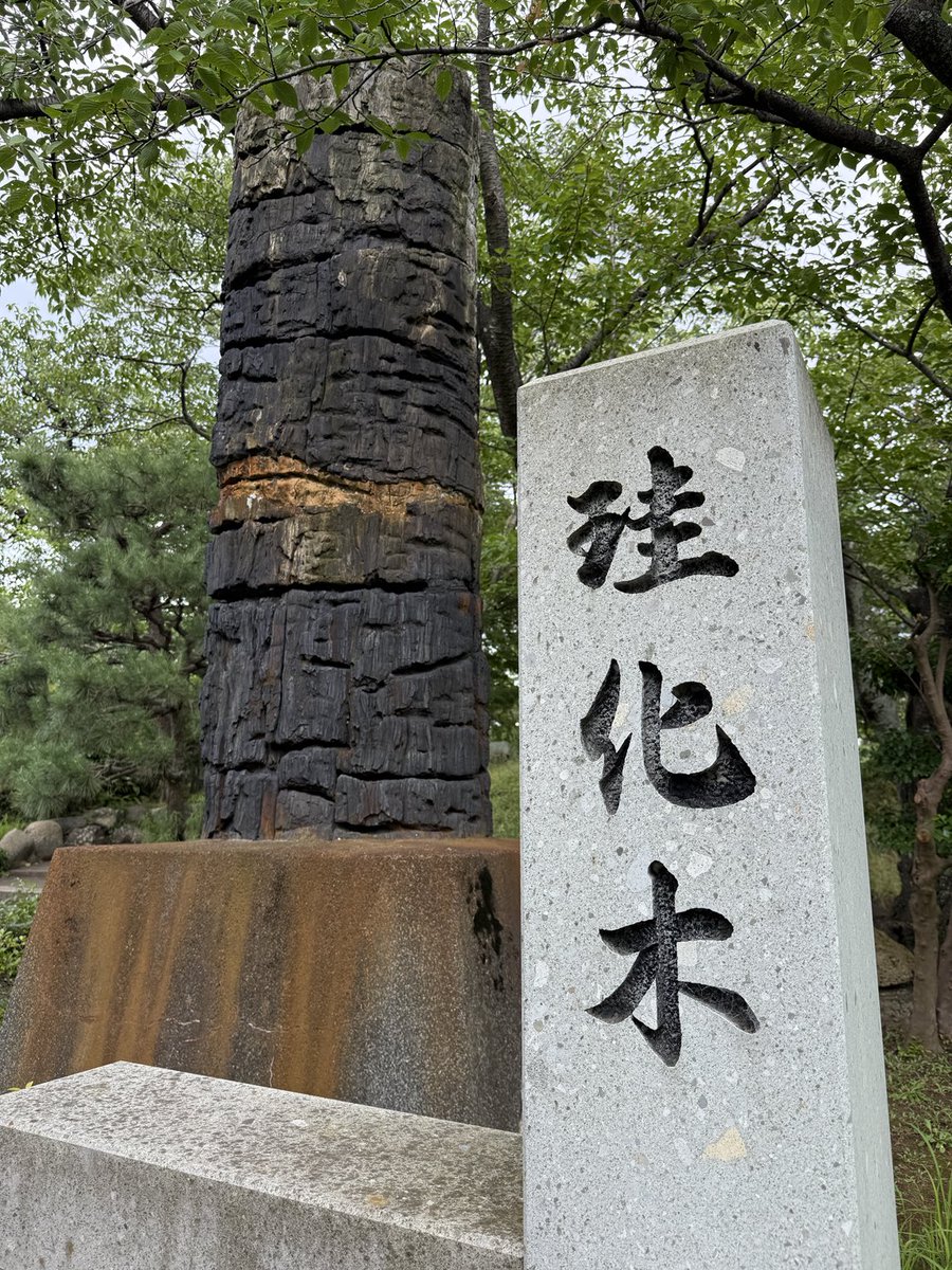 aichi_granite's tweet image. でっかい珪化木がモニュメントになってた(^-^)/…@小松市芦城公園 #街の中で見つかるすごい石 #街角地質学