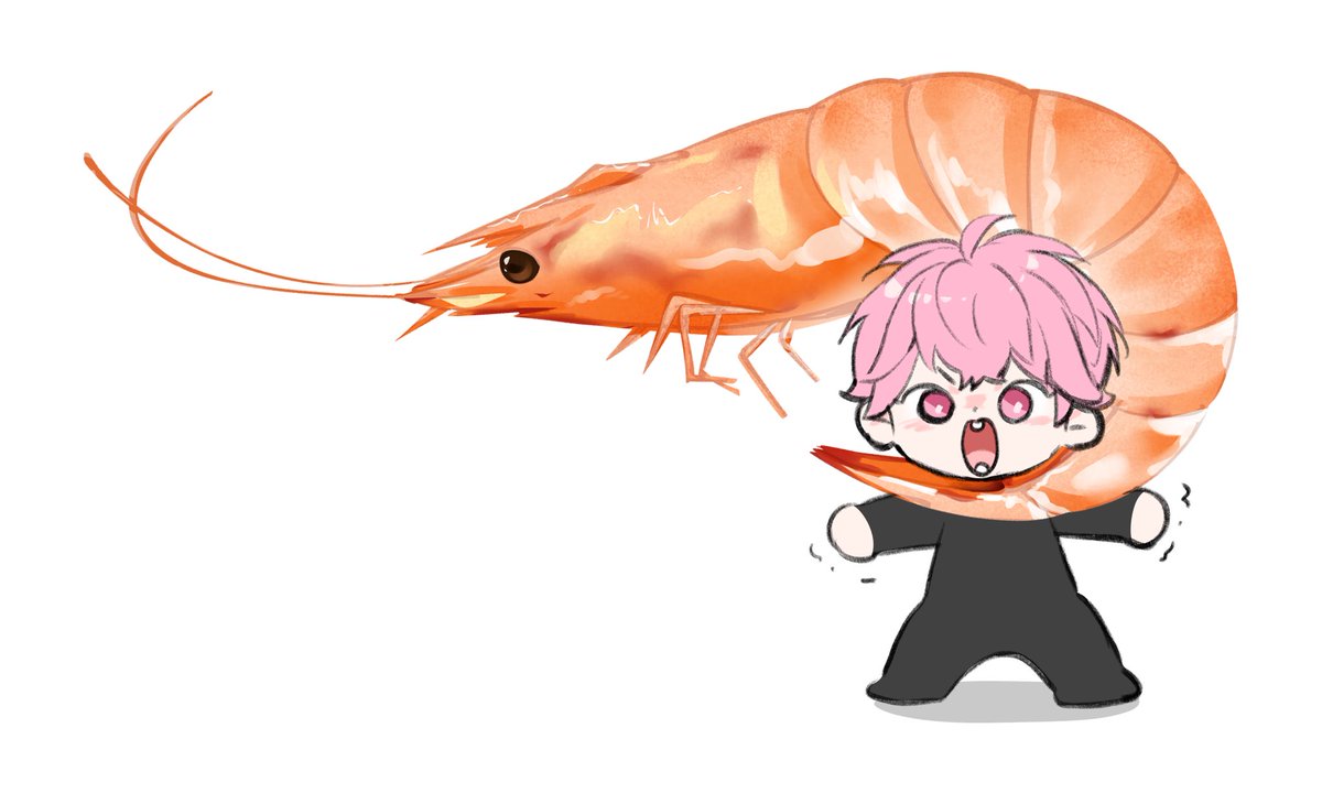 새우도 인격 있어요!💗