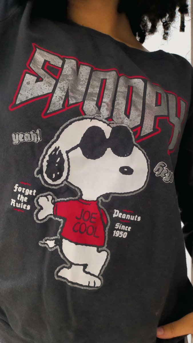 ahnibi_BR's tweet image. Eu quando tenho o moletom mais chad drip woooow do Snoopy