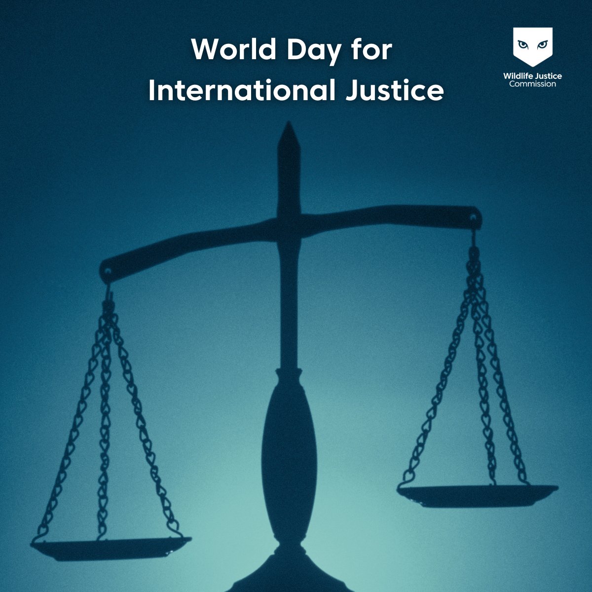 WJCommission's tweet image. 🌍⚖️ Today, on World day for International Justice, we reaffirm our commitment to upholding the rule of law—not just for people, but for wildlife.
Transnational organised wildlife crime poses a catastrophic threat to global biodiversity. Its consequences reach far beyond the…