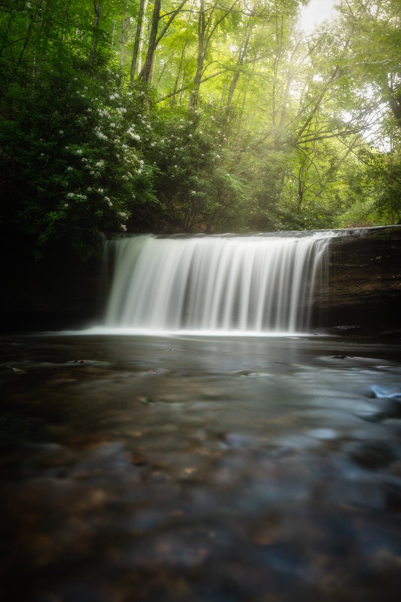 babowling12's tweet image. Summer swimming holes, frames by endless rosebay rhododendrons.
The tell tale sign that summer is slowly fading in Appalachia.
Prints available in limited quantities on my storefront now!
…portraitureandlandscapes.darkroom.com