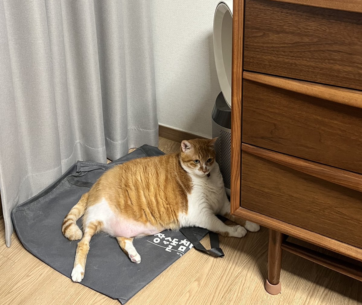 geumdong103's tweet image. 오늘도 장수돌침대커버랑 함께