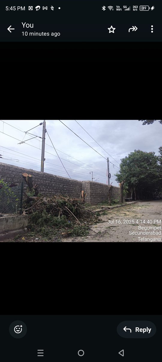 SarojiniJainap2's tweet image. @revanth_anumula  @KTRBRS  @dobriyalrm  @iamkondasurekha 
@vata_foundation  @vinay_vangala 
Can railways cut the fully grown 40 year old treed coz branch touching their cable  @HarithaHaram  investigate and fine for sure