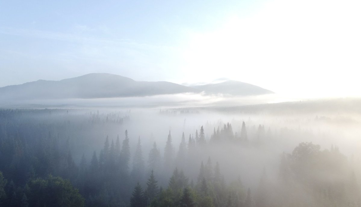 mtnspire's tweet image. Gm...from another place in time. Be good out there! ✌️