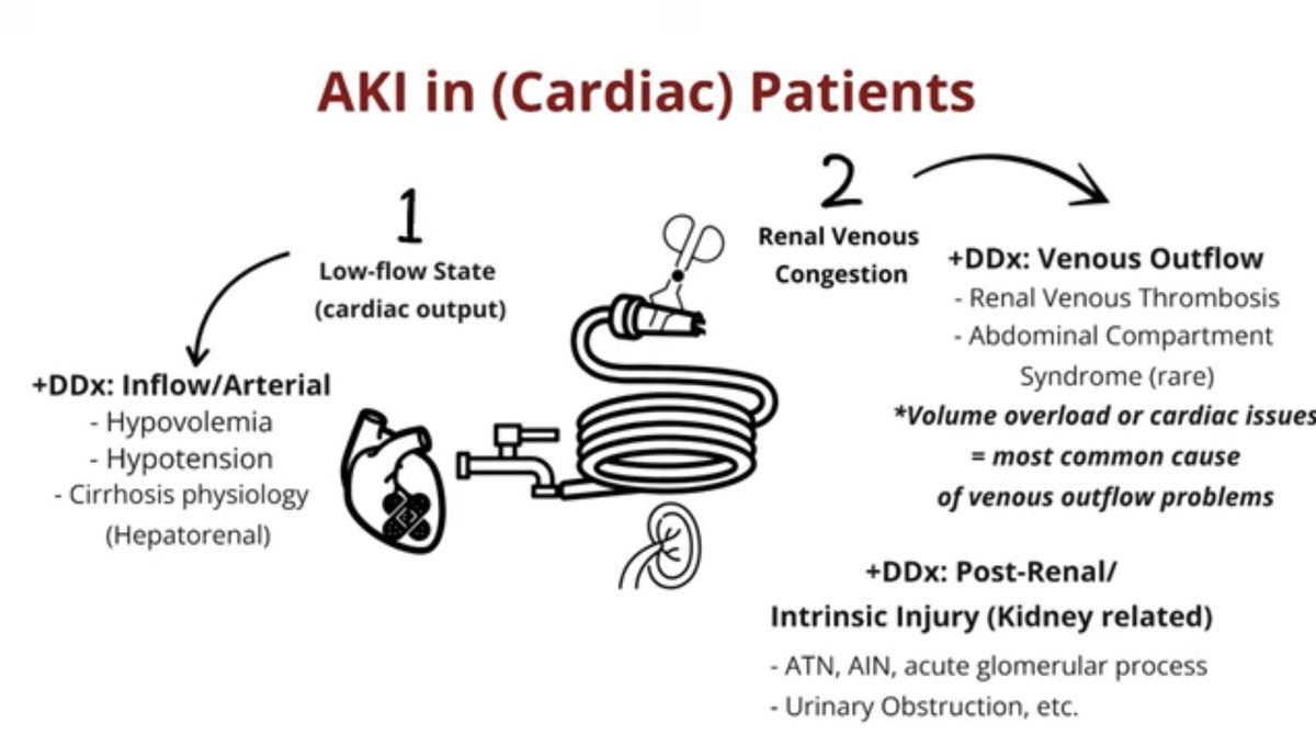 Check out our newest episode on CRS! Is that Cr bumping bc the flow from the spigot (🫀) is low? Or because the hose (🫘) is kinked? Stay tuned for episode #2 coming soon. 🔜