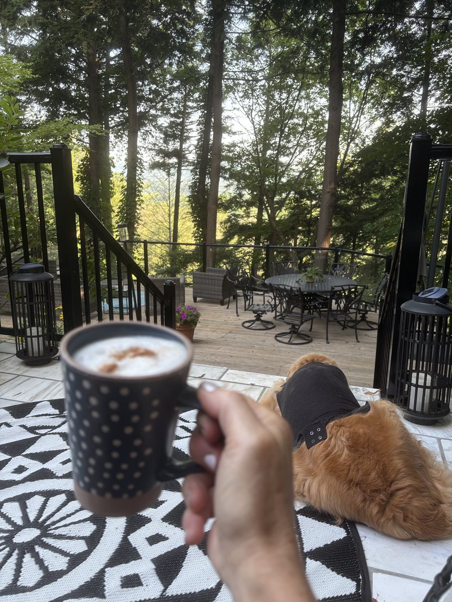 Filomena Tassi tweet media