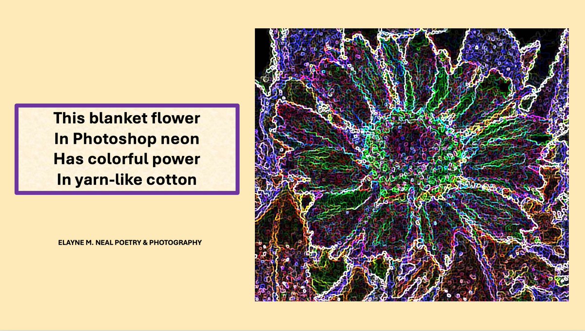 enlightwritings's tweet photo. #ElayneMNealPoetry #poem #poetry #PoetryLovers #ElayneMNealPhotography #photo #photography #BlanketFlower #PhotoshopElements #NeonFilter https://t.co/InKvF8e5G1