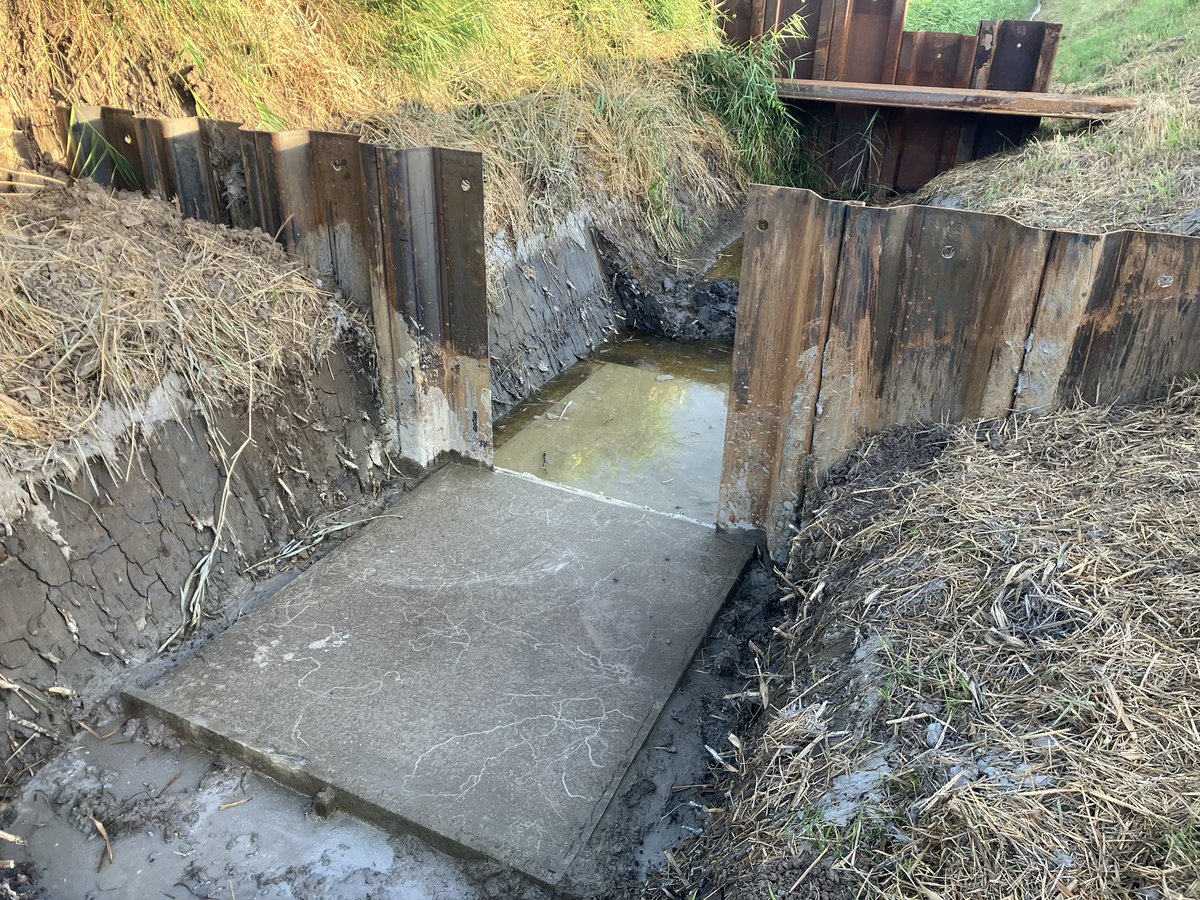 Another section of sheet piling successfully installed and awaiting its tilting weir. This one shall separate two drainage catchments allowing for greater control of water levels when required during drier times or allow for an alternative route for water during wet periods.