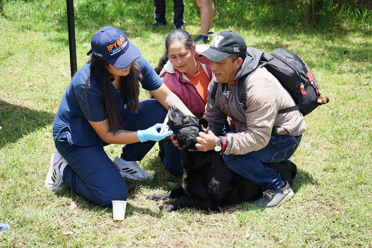 Celebramos el #16DeJulio reconociendo al @IPYBAC por atender más de 35 urgencias vitales en animales, demostrando que en Cundinamarca la protección animal es una prioridad. 

#DíaDeCundinamarca