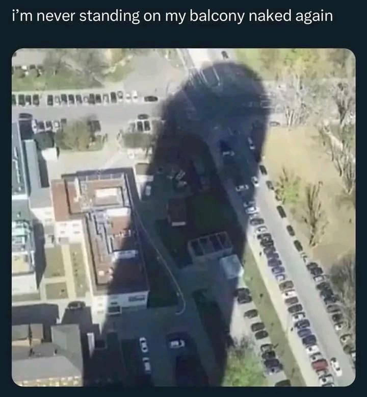 hourly_shitpost's tweet image. 