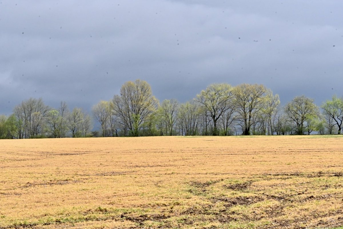 gregg28's tweet image. I made a recent post (since taken down) that was very political in nature. I apologize to anyone that may have been offended. My head is back in the game. Enjoy the landscapes.