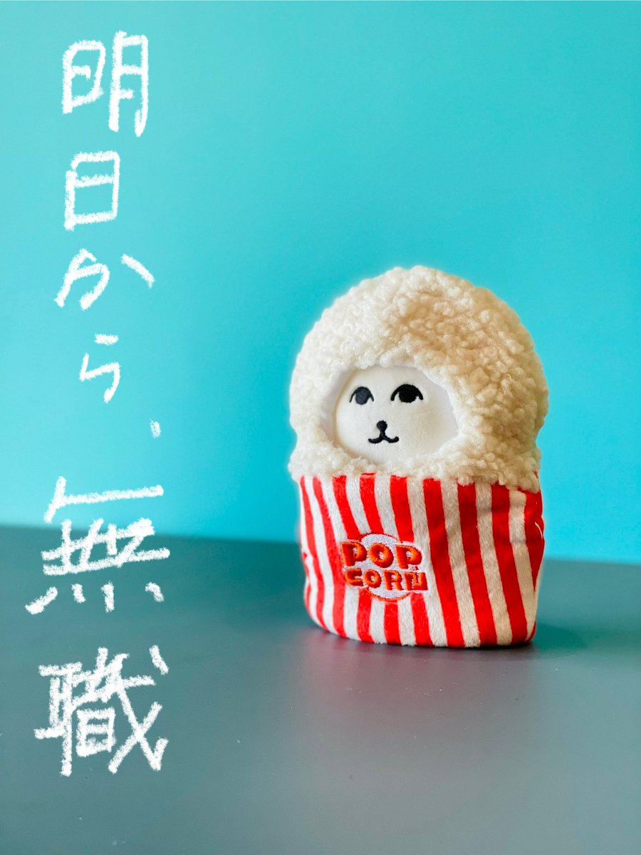 myarchill's tweet image. くま文庫
今月のおすすめ書籍

#ネコキャット今日退職しました