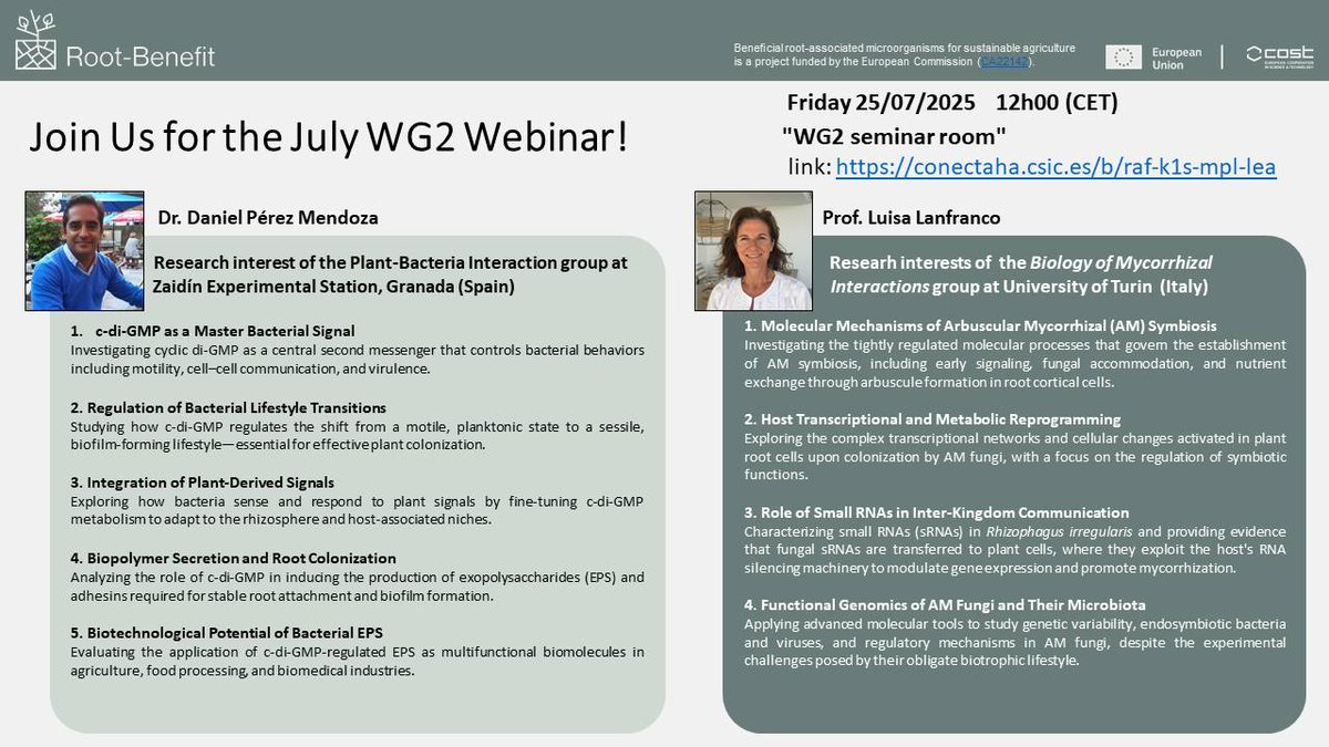 rootbenefit's tweet image. 📢 New Root-Benefit WG2 Webinar!!
Do not miss the opportunity to attend the talk by Prof Luisa Lanfranco (University of Turin, @unito) and Dr Daniel Perez Mendoza @dpmendoza23 (Zaidín Experimental Station, @EEZCSIC). Next July 25th, 12h00 (CET)
Link here: conecta.csic.es/rooms/raf-k1s-…