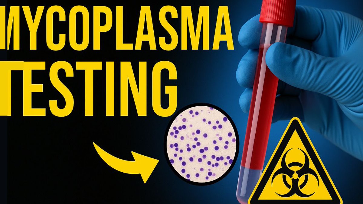 AdwoaBiotech's tweet image. 🧬 The Hidden Threats in Your Cell Culture: 7 Common Types of Contamination (and How to Spot Them)
5min 📝 Read : bit.ly/46wq7aX