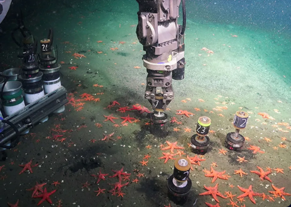 Amnesty Toronto tweet media