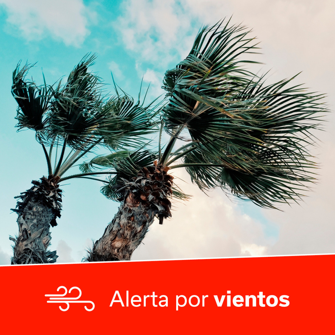 El Gobierno de Canarias declara la situación de #AlertaVientos en #LaGomera y #GranCanaria y de #PrealertaVientos en #ElHierro y #Lanzarote

🗓️17/07
🕑14:00 horas

Más información y consejos ⬇️
www3.gobiernodecanarias.org/noticias/el-go…