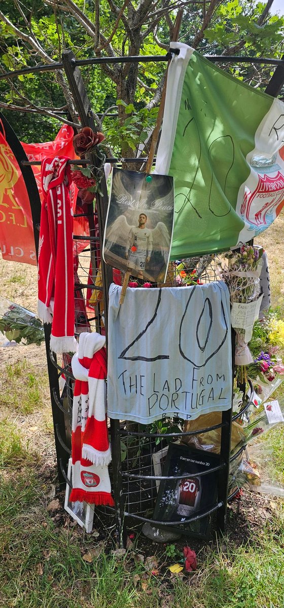 Rowe1892 (@rowe1892) on Twitter photo 