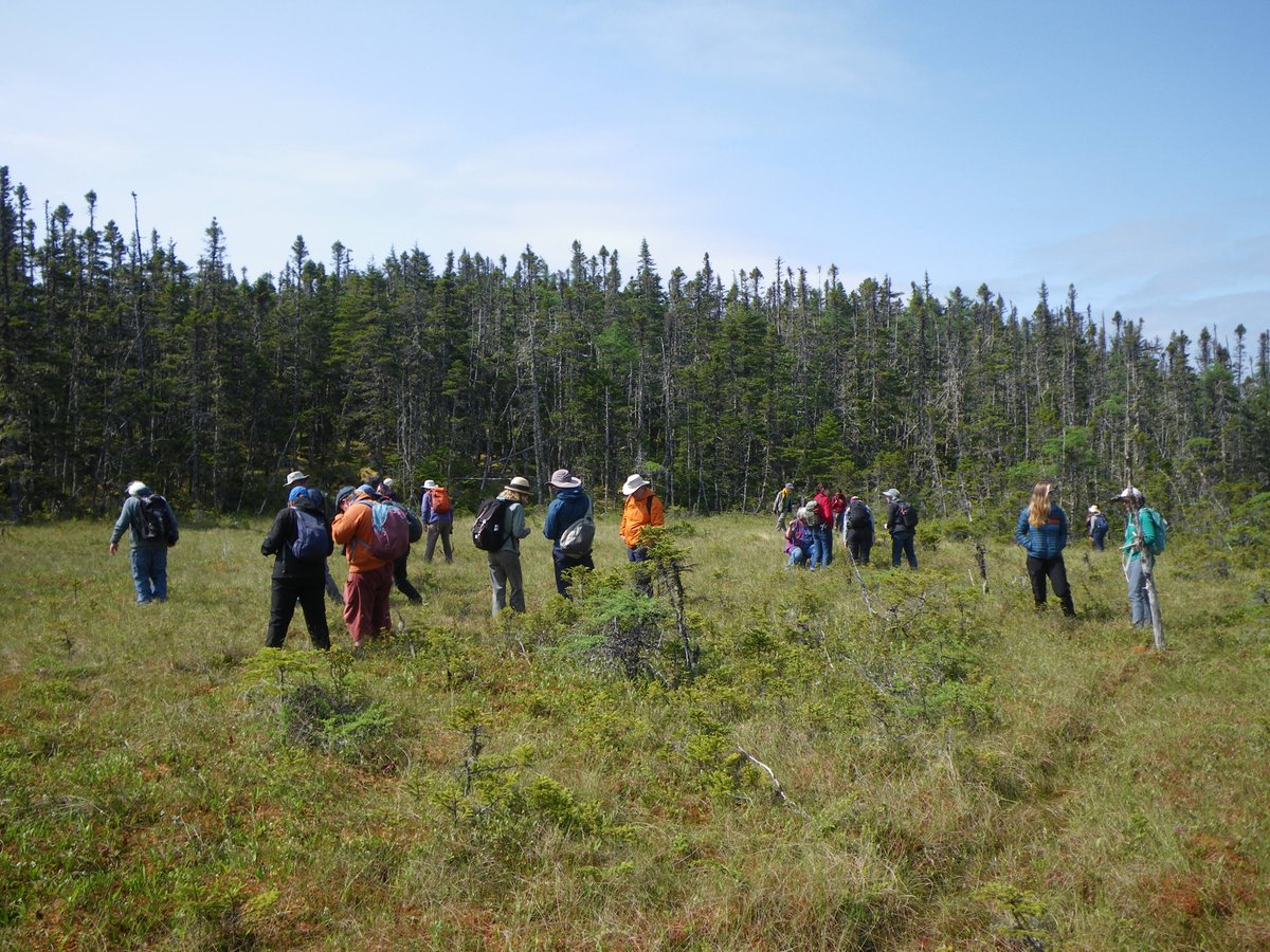 Can Botanical Assoc tweet media