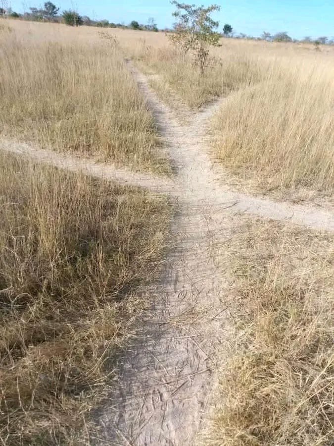 uncleflo_'s tweet image. Trabablas Interchange, Chitown edition