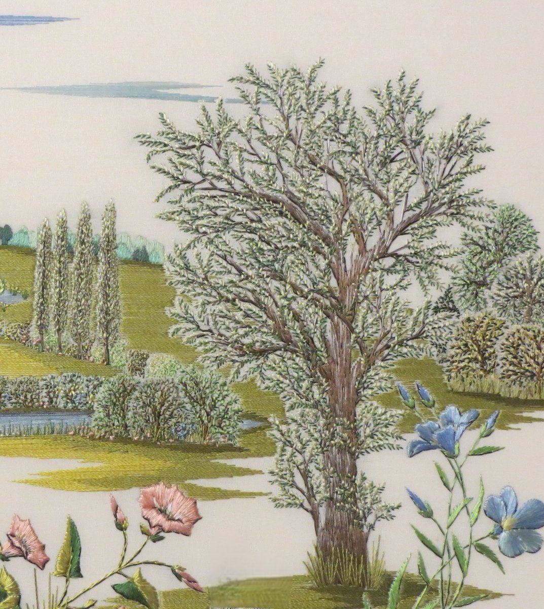 helen_m_stevens's tweet image. I watched a quiz show yesterday, with the question "How many species of domestic dogs are there?" Trick question, of course ... only ONE species, but many breeds! I thought the same about trees ... so many different shapes, sizes, leaf types, and yet ALL trees. Science and…