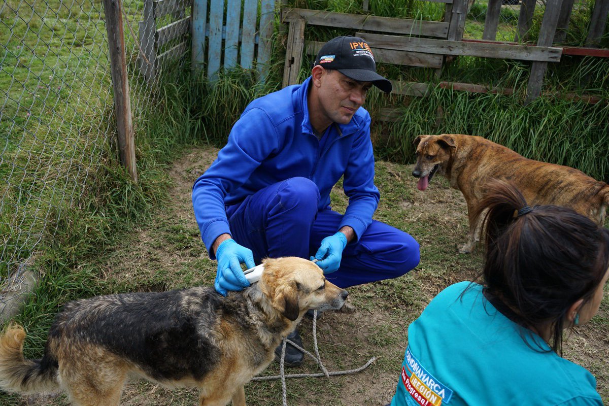 En estos 212 años de Cundinamarca, el @IPYBAC nos inspira con su participación en la campaña  “Misión300”, que fomenta la adopción responsable de animales considerados difíciles de hogar. 

#16DeJulio #OrgulloCundinamarqués #DíaDeCundinamarca