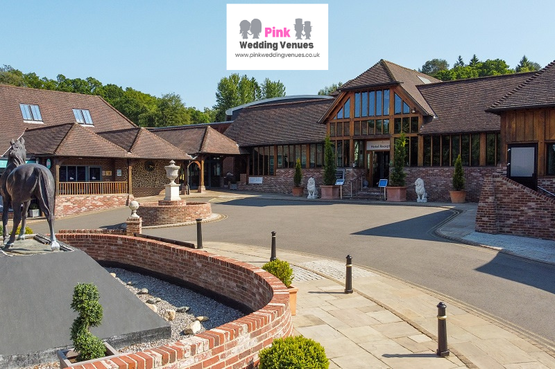 Pink Wedding Venues tweet media