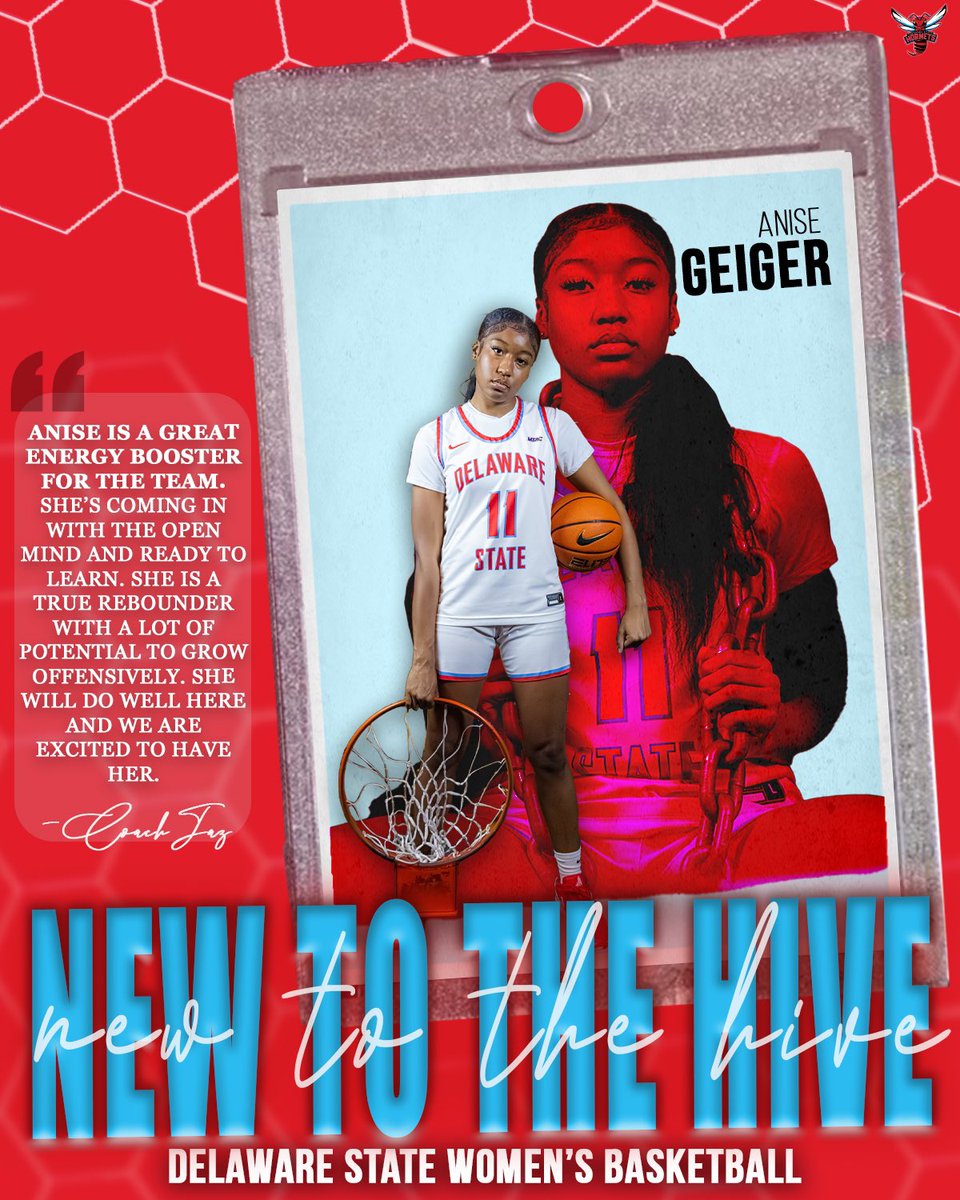 Meet the last wave of new additions — and show them some love in the comments.❤️💙

You’ll be seeing a lot of them this season.
Get familiar now.🎯
#EGO
#GO
#DSUWBB
#DSUHornets