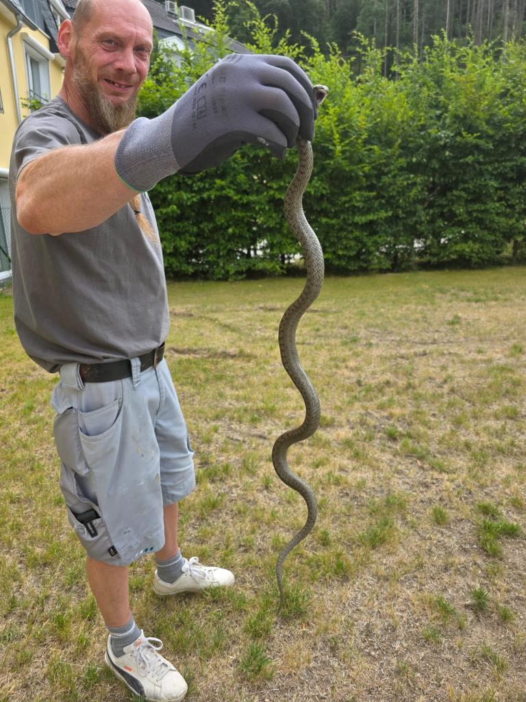 Was man so alles einsammeln muss....