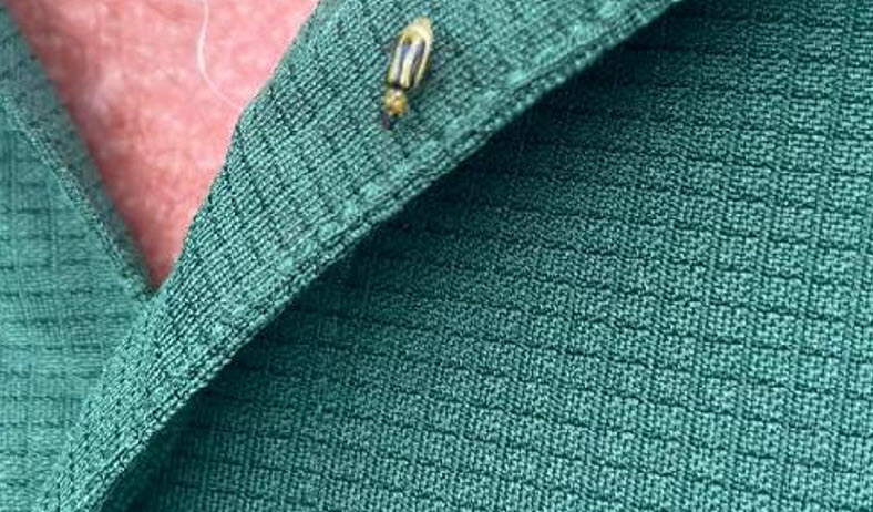 1st Western CRW female of the season!!

This means "beetle bombing" or more properly known as adult management is around 14-18 days away as we want 20% of the females gravid... or ready to lay eggs.

Adult management can be an effective component of a multi-prong approach to