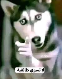 كوجيما حاط هتلر باللعبة 💀