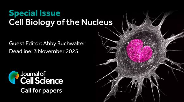 J_Cell_Sci's tweet image. Call for papers: Cell Biology of the Nucleus

We invite you to submit your latest research to our upcoming special issue: Cell Biology of the Nucleus. This issue will be guest edited by Abby Buchwalter, working alongside Academic Editor Megan King.
journals.biologists.com/jcs/pages/nucl…