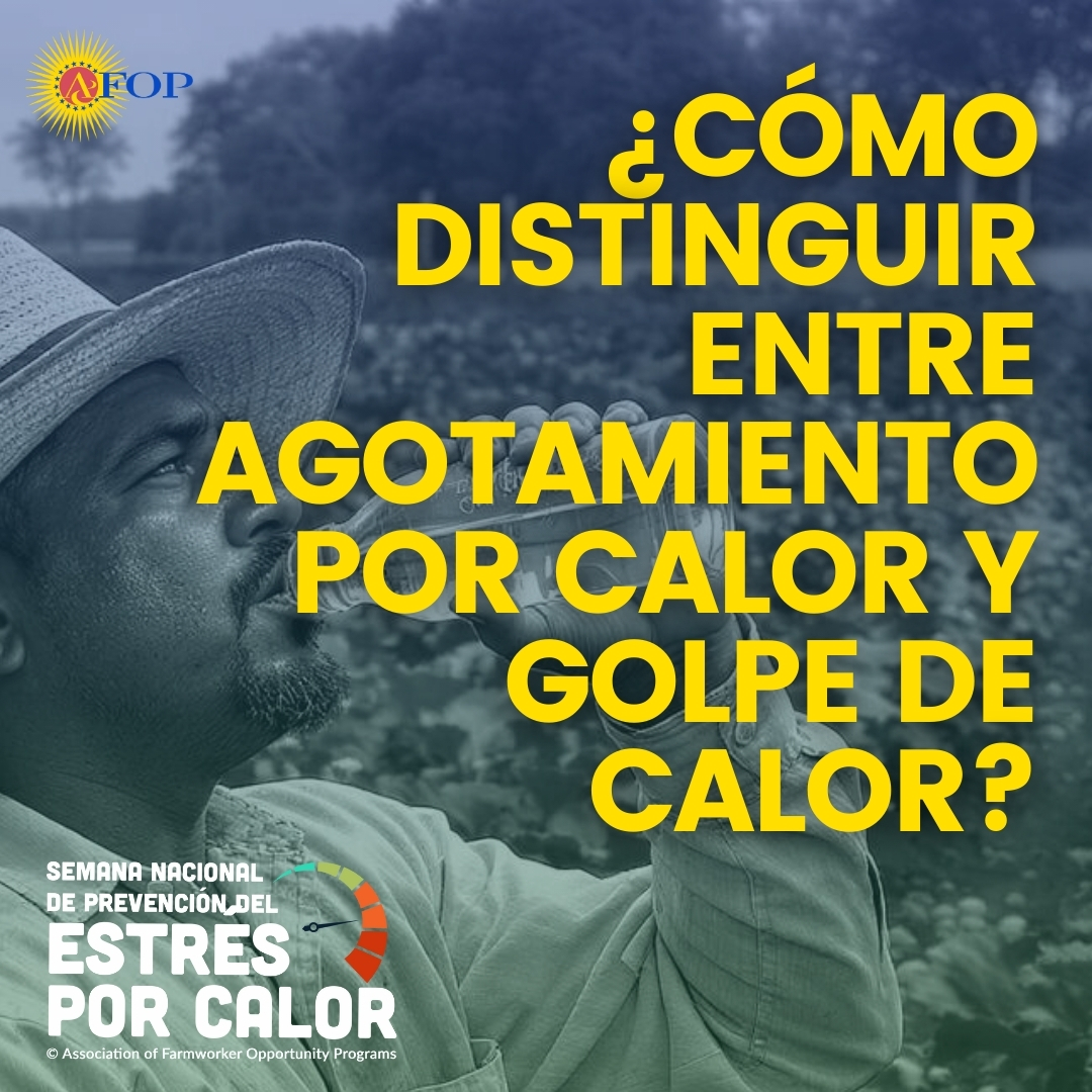 AFOPHealth&Safety tweet media