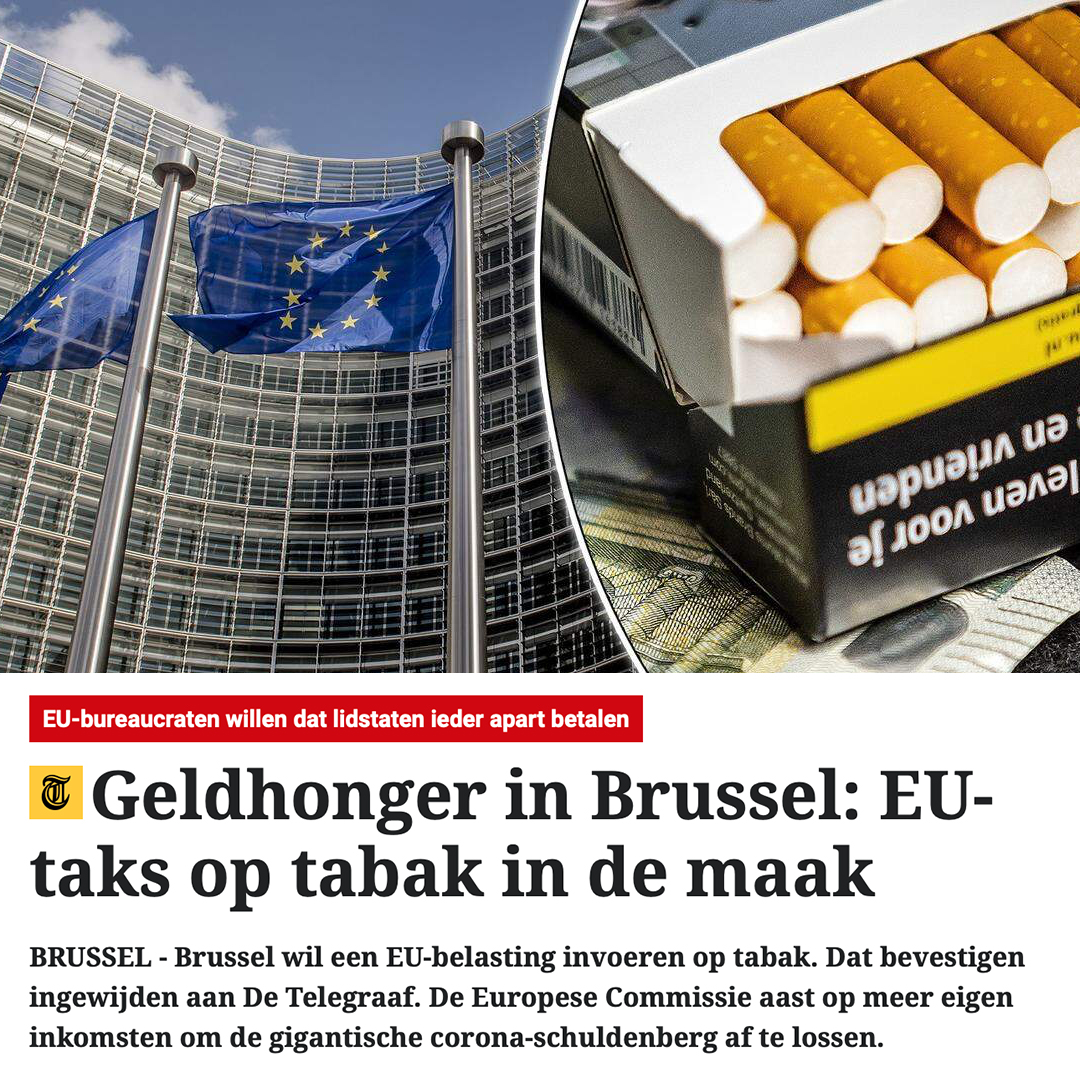 Thierry Baudet tweet media