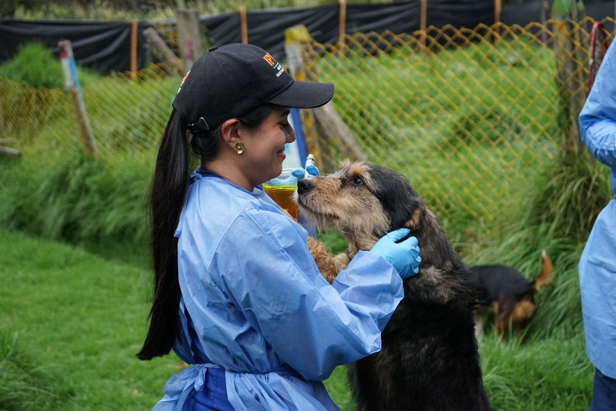 En el #16DeJulio celebramos un Cundinamarca que cuida su fauna y promueve el respeto, gracias al trabajo constante del @IPYBAC, ejemplo nacional en protección y bienestar animal.  

#DíaDeCundinamarca