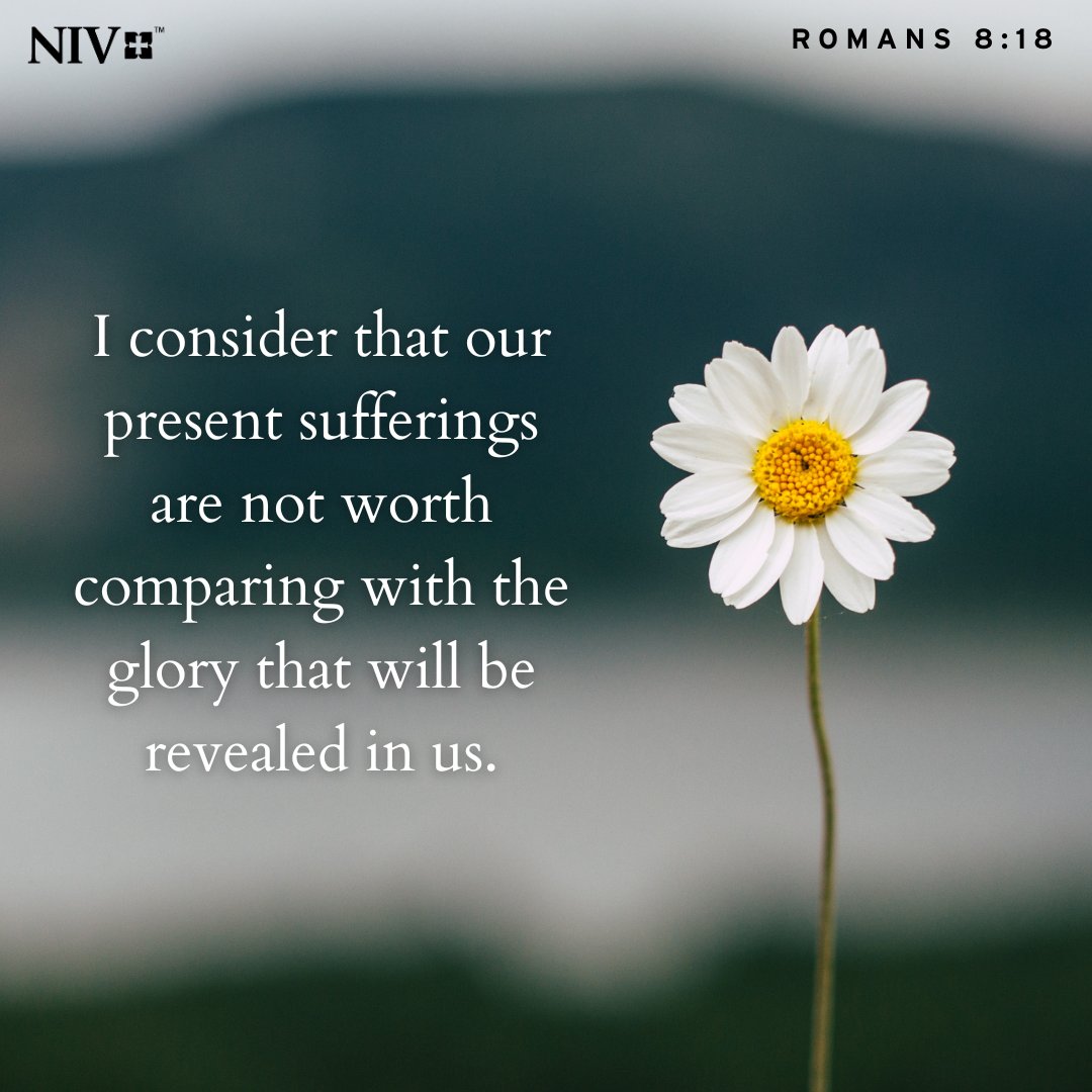 NIVBible's tweet image. I consider that our present sufferings are not worth comparing with the glory that will be revealed in us. Romans 8:18 #niv #nivbible #verseoftheday #votd
