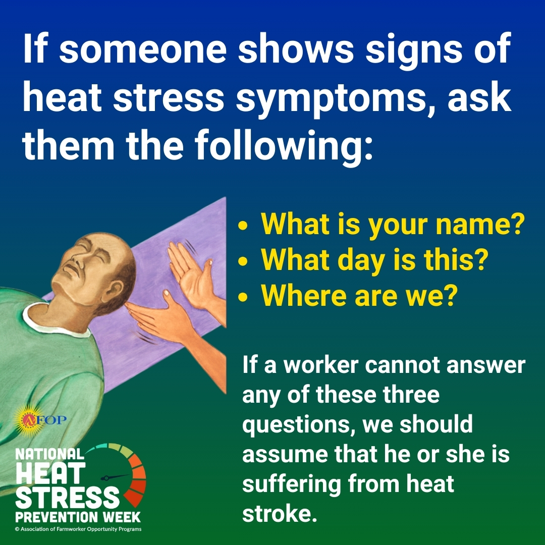 AFOPHealth&Safety tweet media