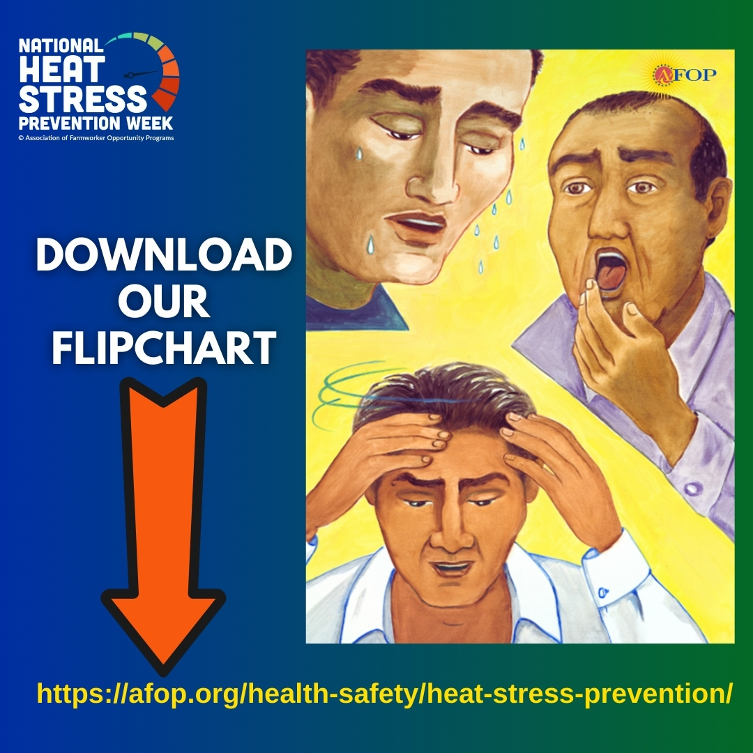 🥵🔥Do you know the difference between heat stroke and heat exhaustion? Follow us to learn more info! 

#nhspw #nhspw2025 #HeatStressPrevention #FarmSafety #StayCool #waterrestshade #heatstress #heatstroke #heatrelatedillness #farmworkers