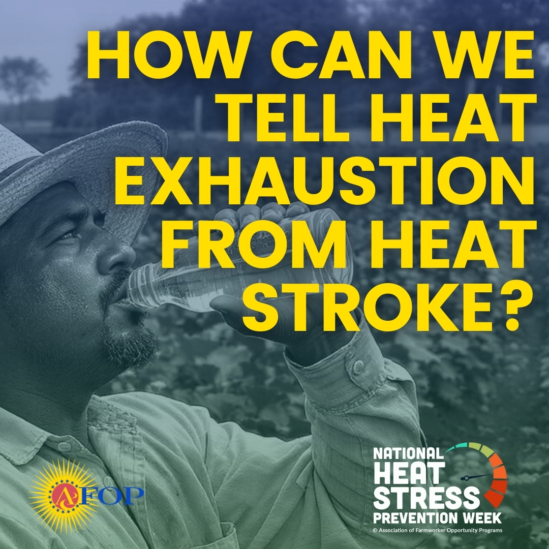 AFOPHealth&Safety tweet media