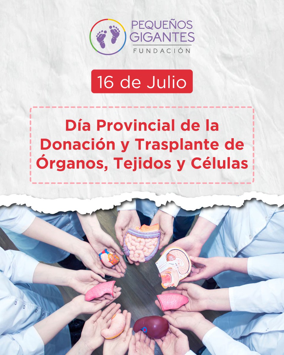 fuundacionpg's tweet photo. 🫀 16 de julio | Día Provincial del Donante de Órganos
Honramos a quienes, con su generosidad, transformaron vidas.
Gracias también a las familias que, en el dolor, eligieron dar esperanza.
#Donarsalvavidas #DíaDelDonante #Misiones 
@PSchapovaloff
@passalacquaok
@SaludMisiones https://t.co/imcn6ilLi5