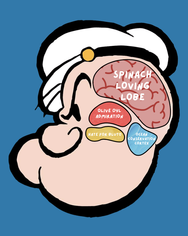 PopeyeTweetsk's tweet image. What goes on in Popeye&apos;s brain? #Popeye #PopeyeStrong #Popeyethesailorman