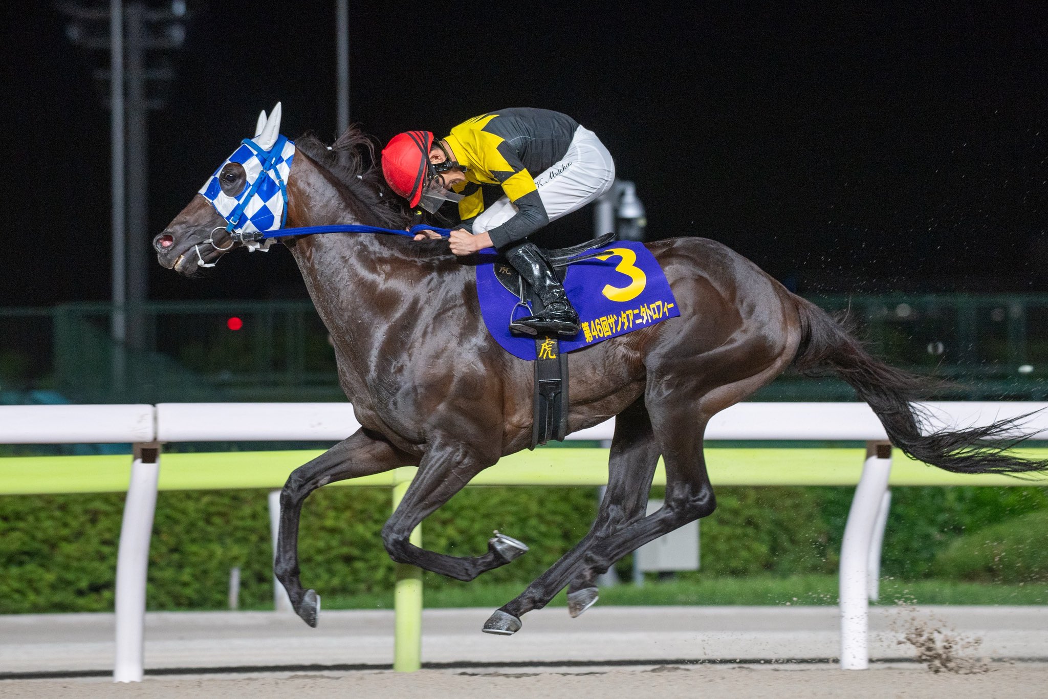浦和競馬 on X: 