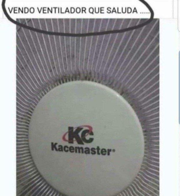 chincheto pirata somali (@wikipistacho) on Twitter photo 