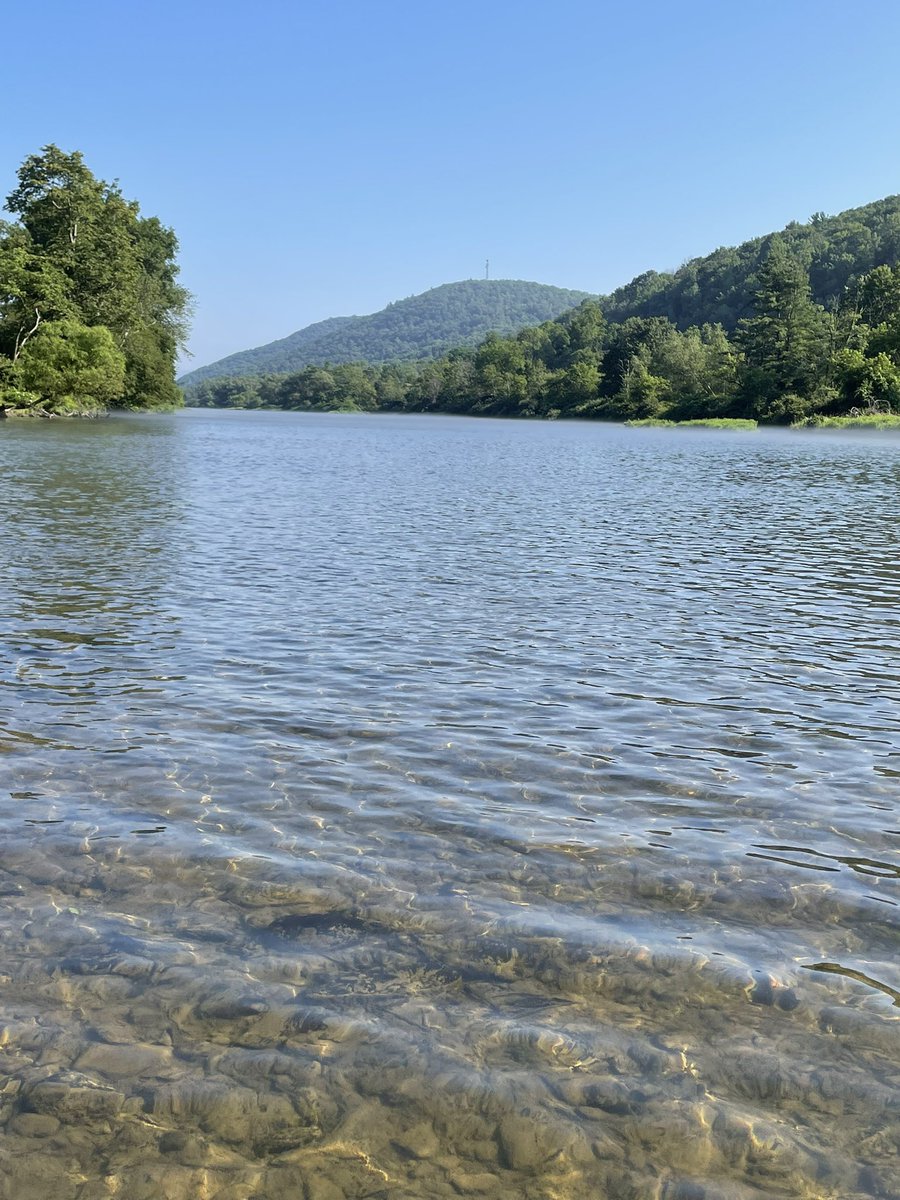 On the West Branch for a few days. IYKNY. Awesome place. #flyfishing #trout