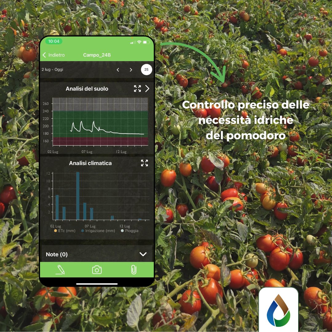 WiseconnEurope's tweet image. Grazie alla nostra tecnologia #DropControl, l&apos;Azienda Agricola Porto Felloni può monitorare l’umidità del suolo e le condizioni climatiche del pomodoro e gestire l’irrigazione da remoto in base alle effettive esigenze delle colture💧🍅

#WiseConnEurope #IrrigazioneDiPrecisione