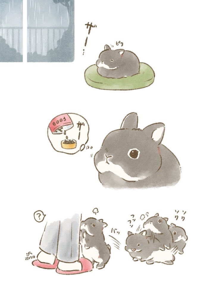taiga15's tweet image. 🐰雨知らず